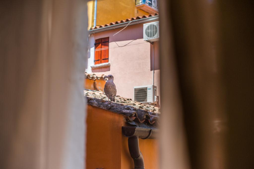 Studio Yellow Flower Rovinj Exterior photo